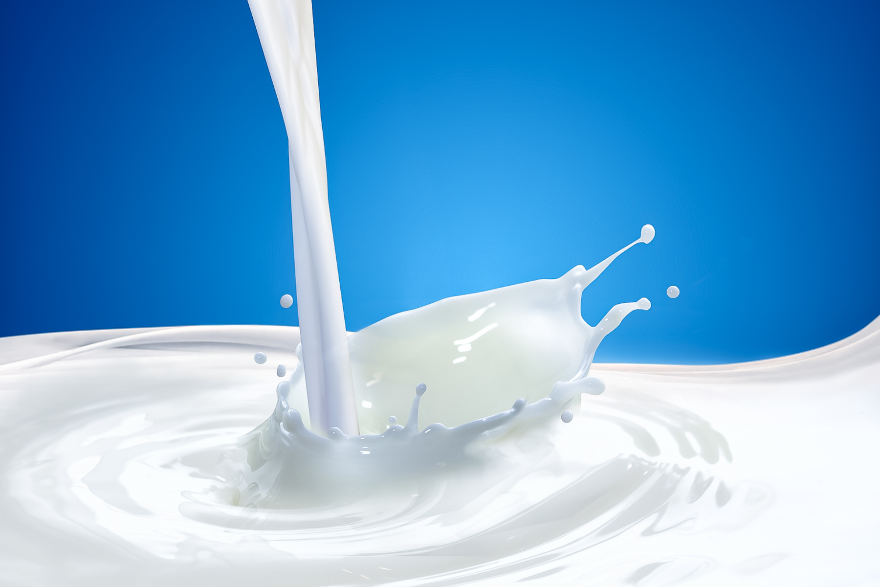 milk splash on blue background